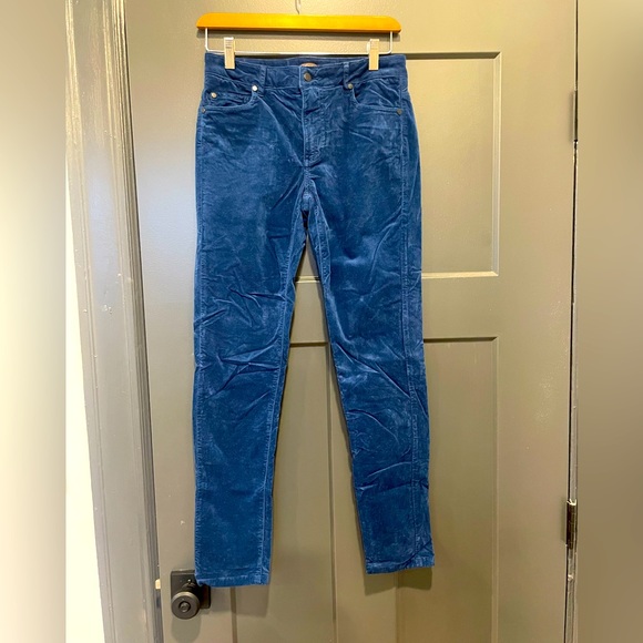 J. McLaughlin blue velvet Watson suede skinny pants size 2 - Picture 2 of 6
